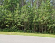 297 Colonial Ridge, Pittsboro image