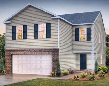 1356 Saddle, Roebuck