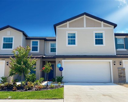10341 Honey Hammock Way, San Antonio