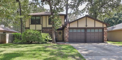 29 S Summer Star Court, The Woodlands