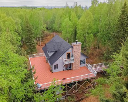 1383 Dupont Lane, Fairbanks