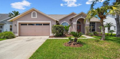 1403 Clearglades Drive, Wesley Chapel