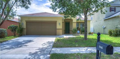 11145 Goldenrod Fern Drive, Riverview