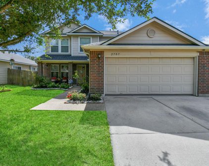 2707 Sockeye Drive, Houston