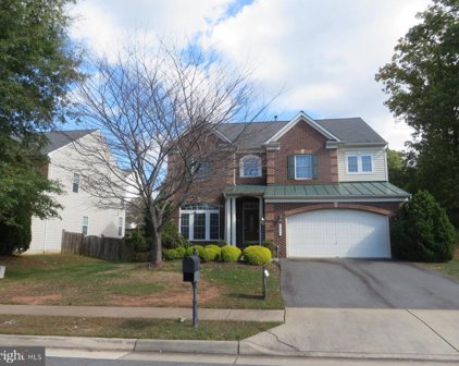 14717 Luther Allen Pl, Woodbridge