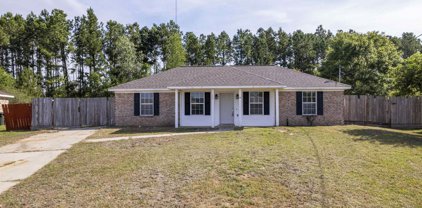 13220 Labradors Run, Foley