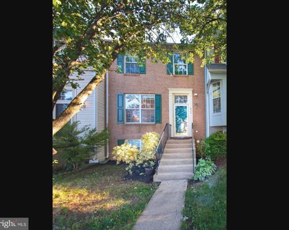 8302 Singleton Ter, Manassas