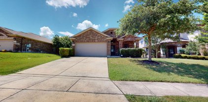 14004 Wenrich, Live Oak