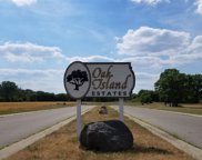 Oak Island Estate, Essexville image