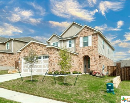 217 Asher Blue Drive, Hutto