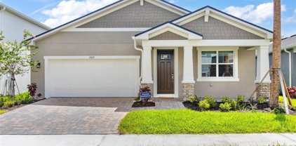 19672 Blue Pond Drive, Lutz