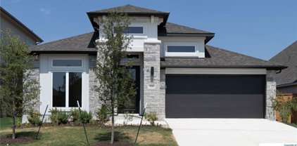 308 Fawn River Run, Kyle