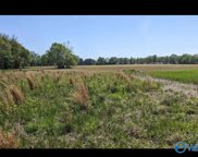 22622 New Garden Road, Elkmont image