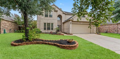 3618 Bluebonnet Trace Drive, Spring