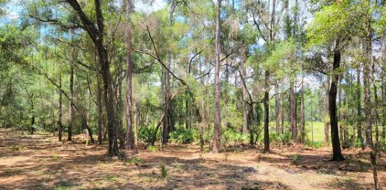 #1a - 10.01ac Ne 150th Ave Rd, Fort Mc Coy