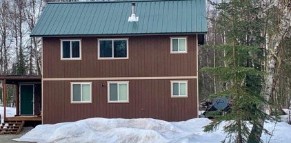 14491 Woodpecker Avenue, Talkeetna