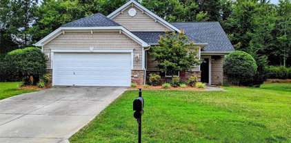 748 Ivy Trail  Way, Fort Mill