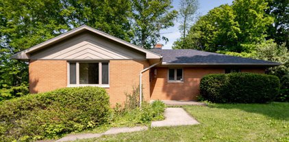 1234 White Oak Drive, Springfield