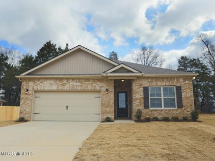 8776 Mary Frances Drive, Southaven