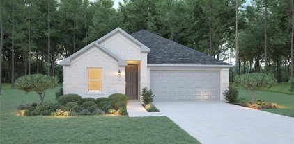 2915 Parthenon Place, New Caney