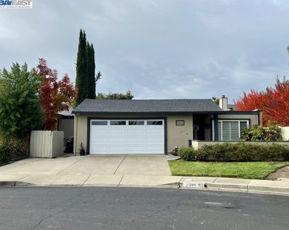2511 Heatherlark Cir, Pleasanton