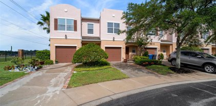 13149 Sonoma Bend Place, Gibsonton