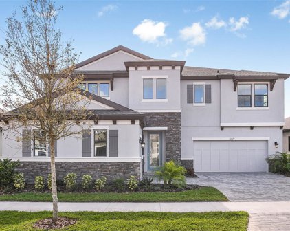 13269 Twin Bridges Drive, Riverview