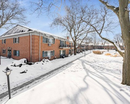 710 E Algonquin Road Unit #209, Arlington Heights