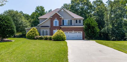 117 Tugaloo, Roebuck