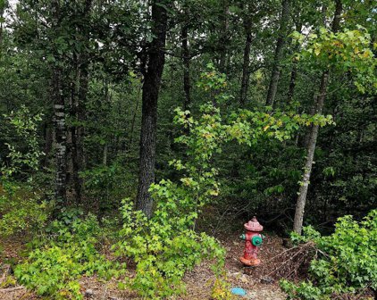 Lot 9 Quail Run, Malvern