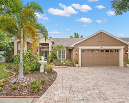 2496 Mulberry Drive, Palm Harbor
