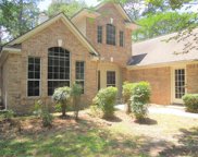 58 Windbluff Court, The Woodlands image