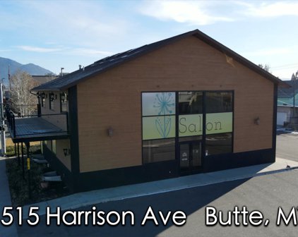 1515 Harrison Avenue, Butte