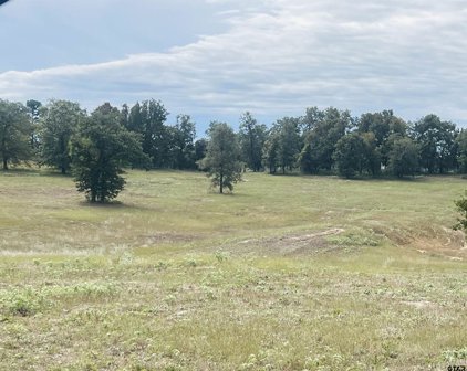 631 CR 3290, Winnsboro