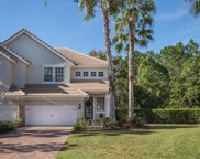 14455 Mirabelle Vista Circle, Tampa image