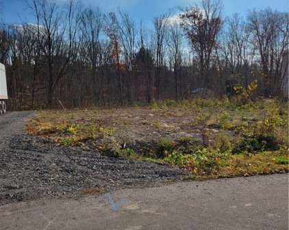 8424 Forest  Road, Royalton-293689