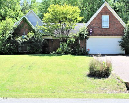 10215 Victor Drive Drive, Olive Branch