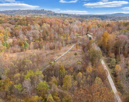 Meadow Creek  Ln, Thaxton