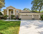 2218 Climbing Ivy Drive, Tampa image