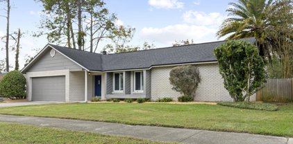 11504 Pine Forest Ct, Jacksonville