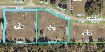 12160 Kadri Boulevard, Spring Hill