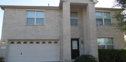 18202 Cole Bridge Court, Cypress