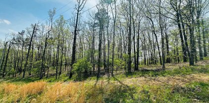 102 ST ANDREWS Drive, Hot Springs