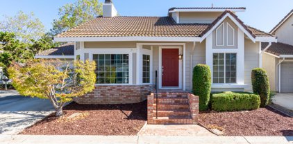 972 Ivory Creek DR, San Jose