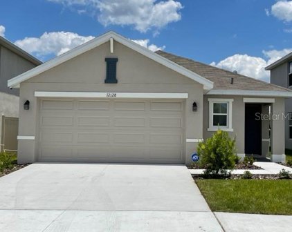 12128 Lily Magnolia Lane, Riverview