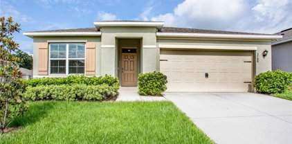 3700 Holly Grove Lane, Mount Dora