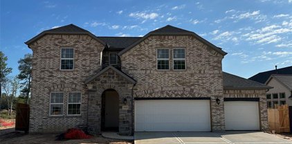 13107 Soaring Forest Drive, Conroe