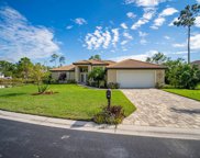 10011 Hidden Pines Ln, Bonita Springs image