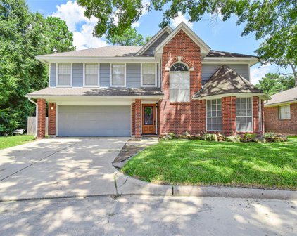 2203 Friarwood Trail, Houston