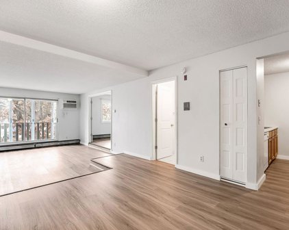 1601 N Innsbruck Drive Unit #281, Fridley